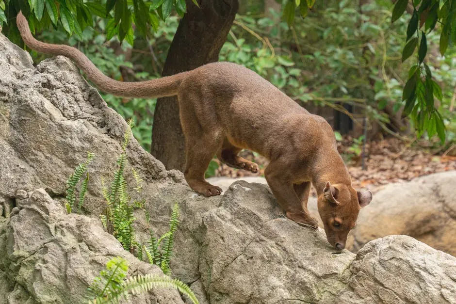 5. You Owe Your Brain’s Energy Hunger to Early Warm‑Blooded Risk Takers (Image Credits: Pexels)