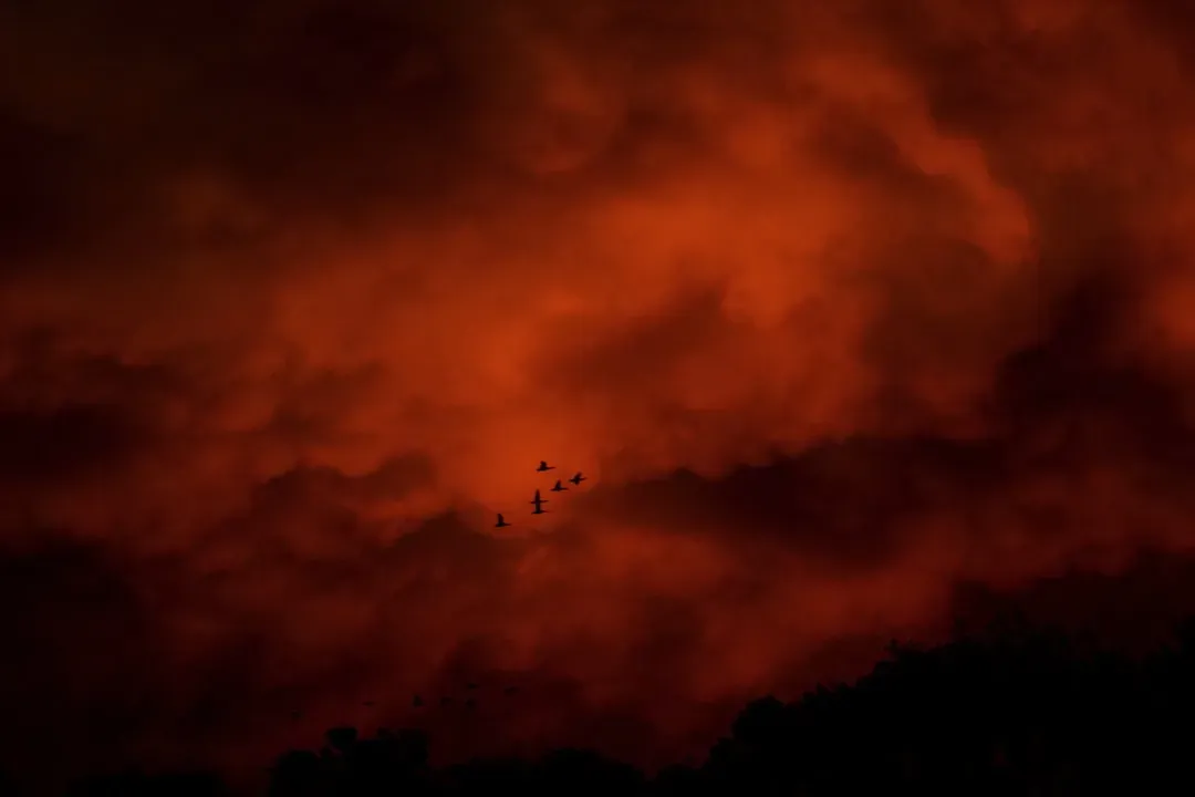 #1 - Red Sky At Night Isn't Just A Rhyme, It's Barometric Truth (Image Credits: Unsplash)