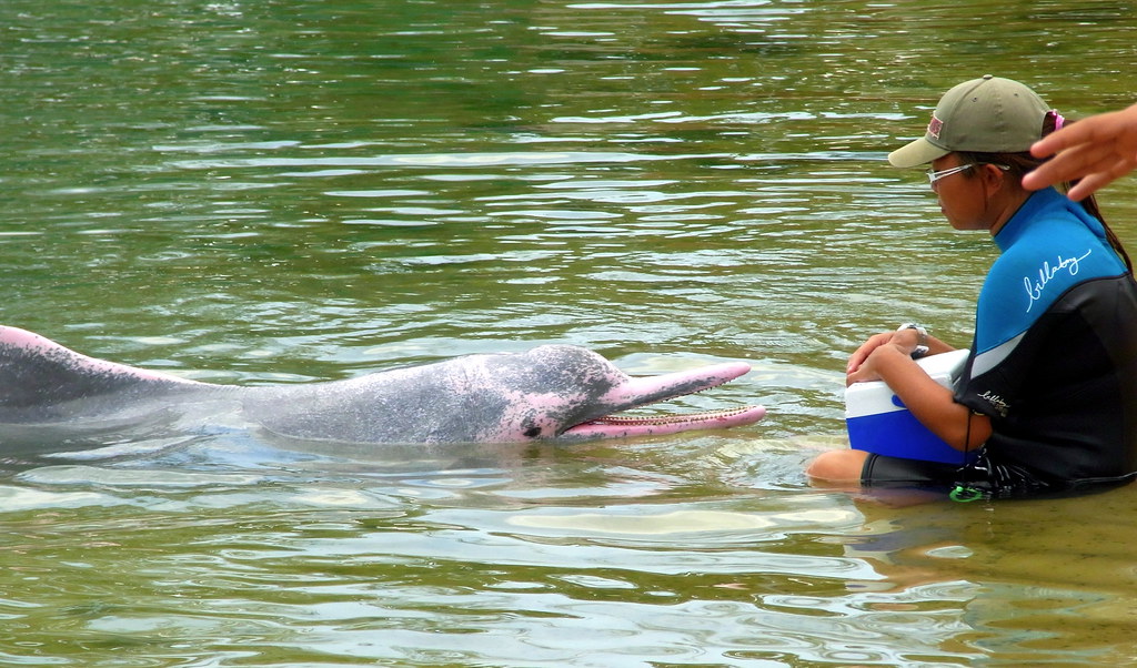 Survival Challenges in the Wild (Image Credits: Flickr)