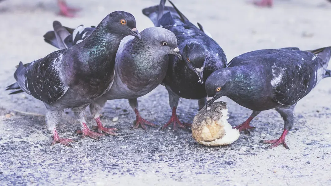 Conclusion: Being Outsmarted Might Be the Smartest Thing That Happens to Us (Image Credits: Unsplash)