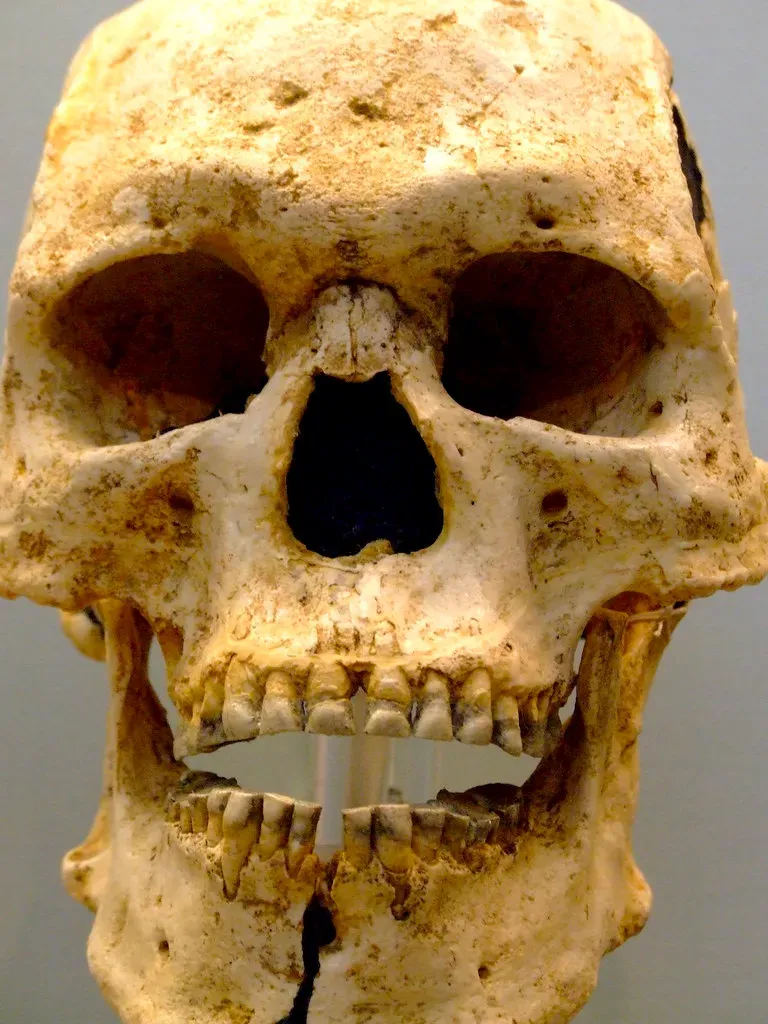 #5 – The "Skull of Homer" (llamnudds, Flickr, CC BY-SA 2.0)