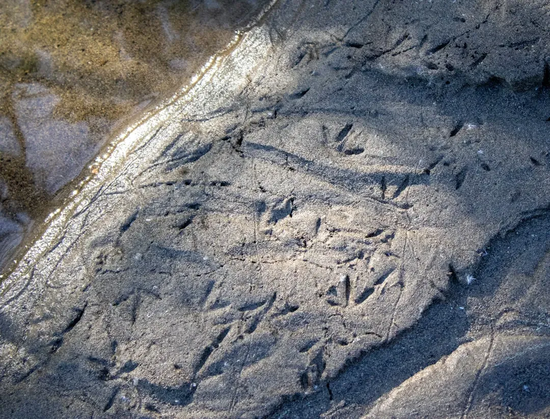 Looking Ahead: The Future Landscape of Rune Research and Earth’s Invisible Archives (Image Credits: Unsplash)