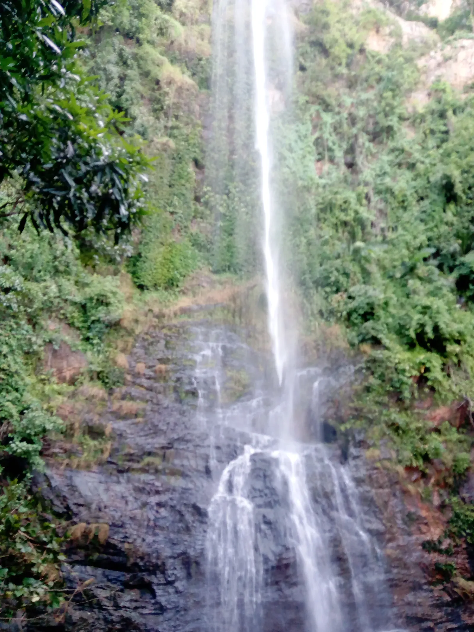 Measuring the Drop: The Tallest Contenders, Ranked (Image Credits: Wikimedia)