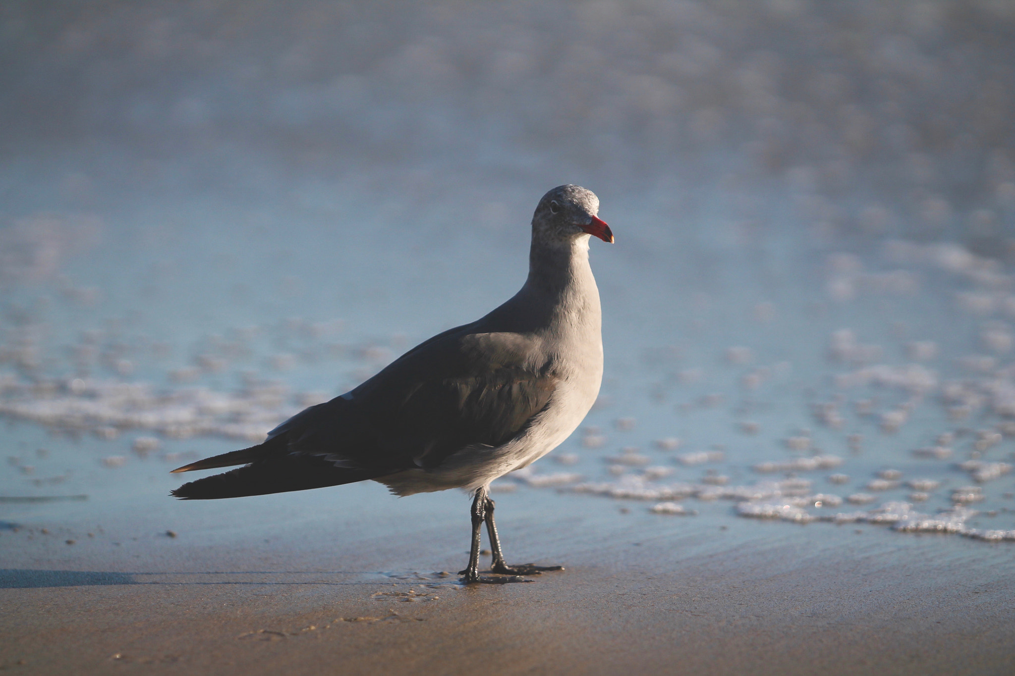 The Hidden Clues (Image Credits: Wikimedia)