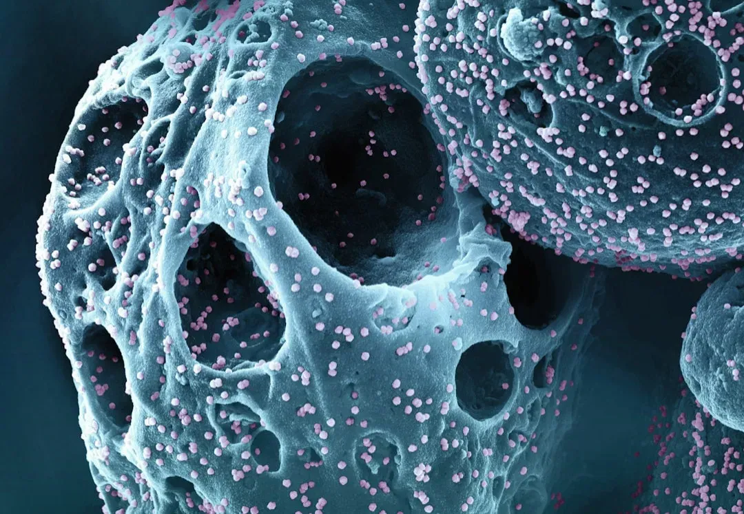 3. Regenerative Medicine and Lab-Grown Organs (Image Credits: Unsplash)