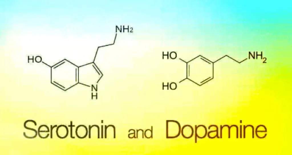 Dopamine, Serotonin, and the Myth of the “Happy Chemical” (Image Credits: Flickr)