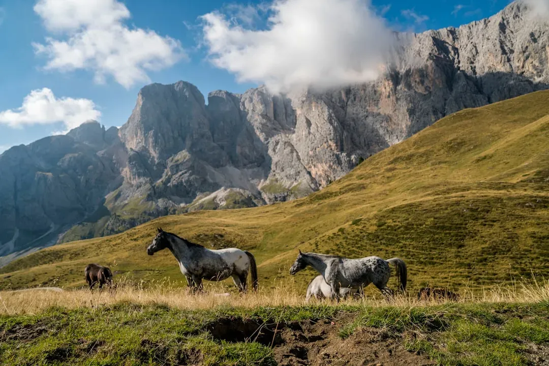 Choosing a Future for an Iconic Species (Image Credits: Unsplash)