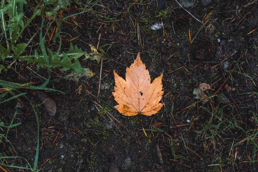 The Hidden Clocks of Water (Image Credits: Unsplash)