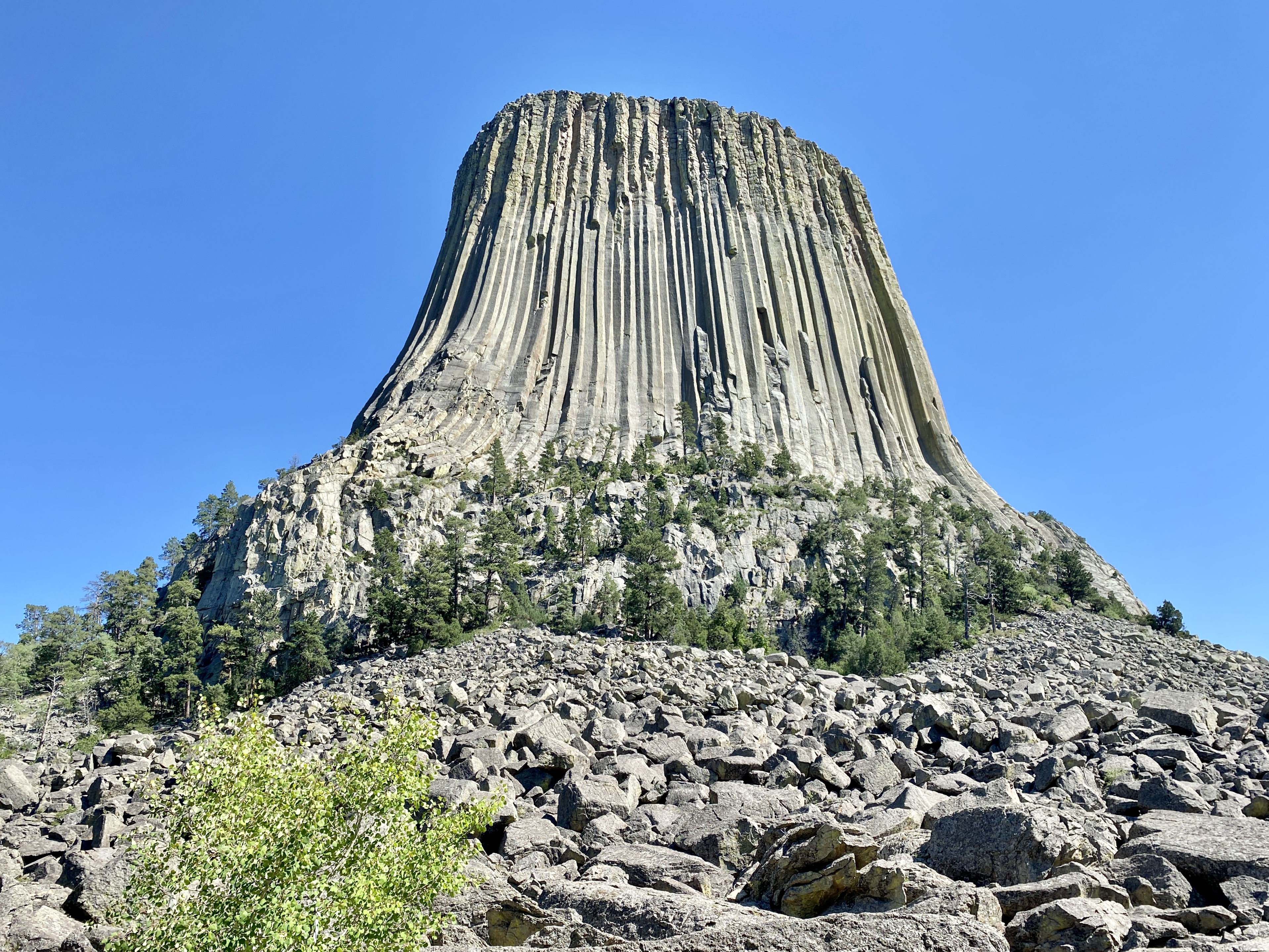 Devils Tower Wyoming - The Monolithic Giant (Image Credits: Wikimedia)