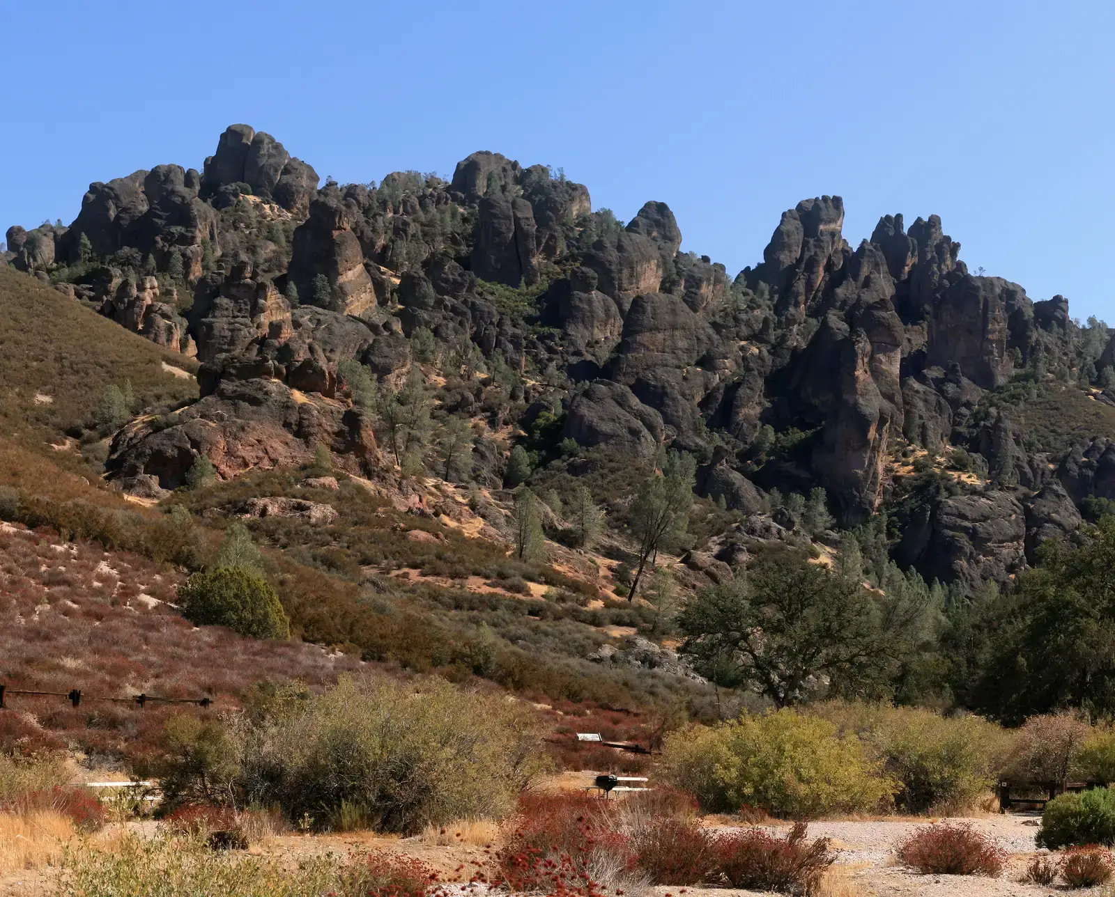 8. Pinnacles National Park, California - The Volcanic Surprise Nobody Expects (Image Credits: Wikimedia)