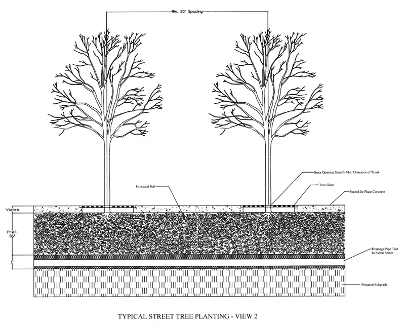 What You Can Do: Small Actions in a Lengthening Summer World (Image Credits: Wikimedia)