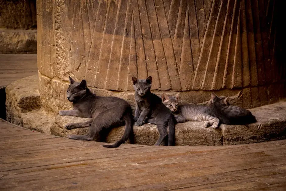 How Ancient Egypt Helped Create the Legend (Image Credits: Pexels)