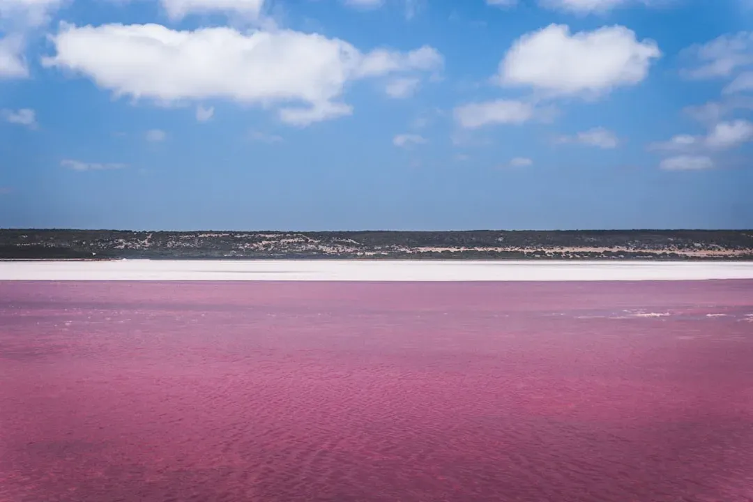 Lake Hillier, Australia (Image Credits: Unsplash)