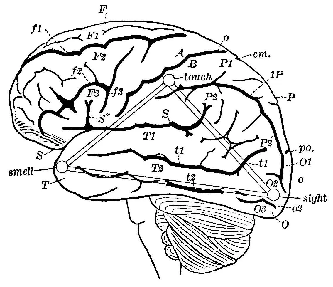 Editing the Past: What Science Can Already Do (Image Credits: Wikimedia)