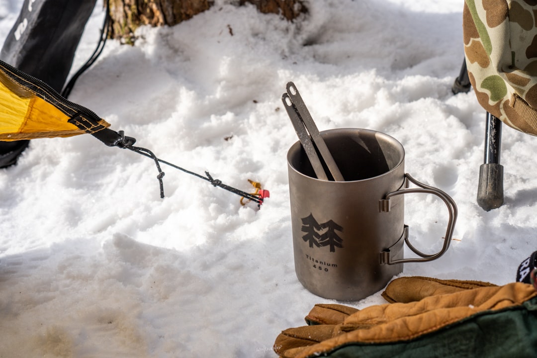 Grounded Grit: Earth Signs in the Ice (Image Credits: Unsplash)