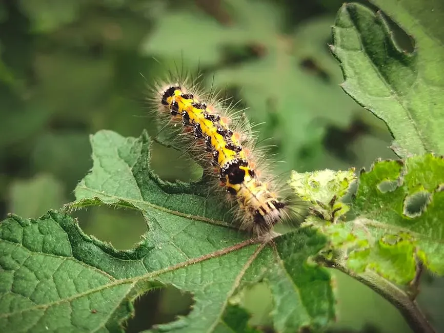 Sequestering Poisons: Turning Plant Toxins Into Personal Armor (Image Credits: Pexels)