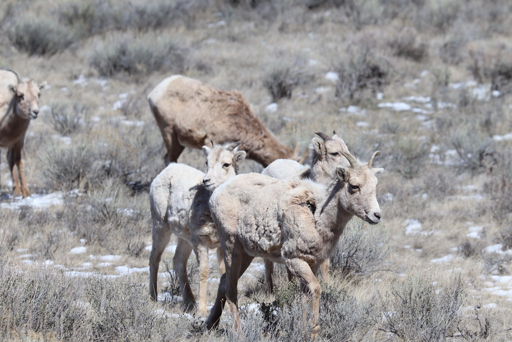 Canyonlands National Park: Reclaiming Lost Territory (Image Credits: Flickr)