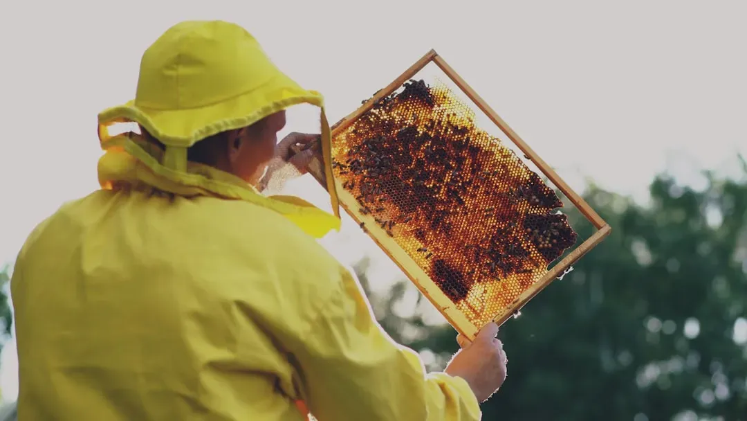 5. They Power Rural Economies and Livelihoods (Image Credits: Unsplash)