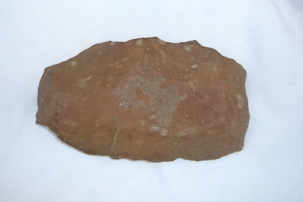 1. Simple Stone Choppers: Your First Multi‑Tool (andy_carter, Flickr, CC BY 2.0)