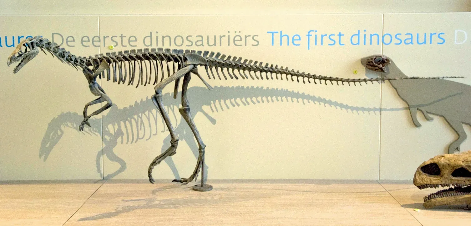 How a Single Skeleton Shook Up the Dinosaur Family Tree (By MWAK, Public domain)