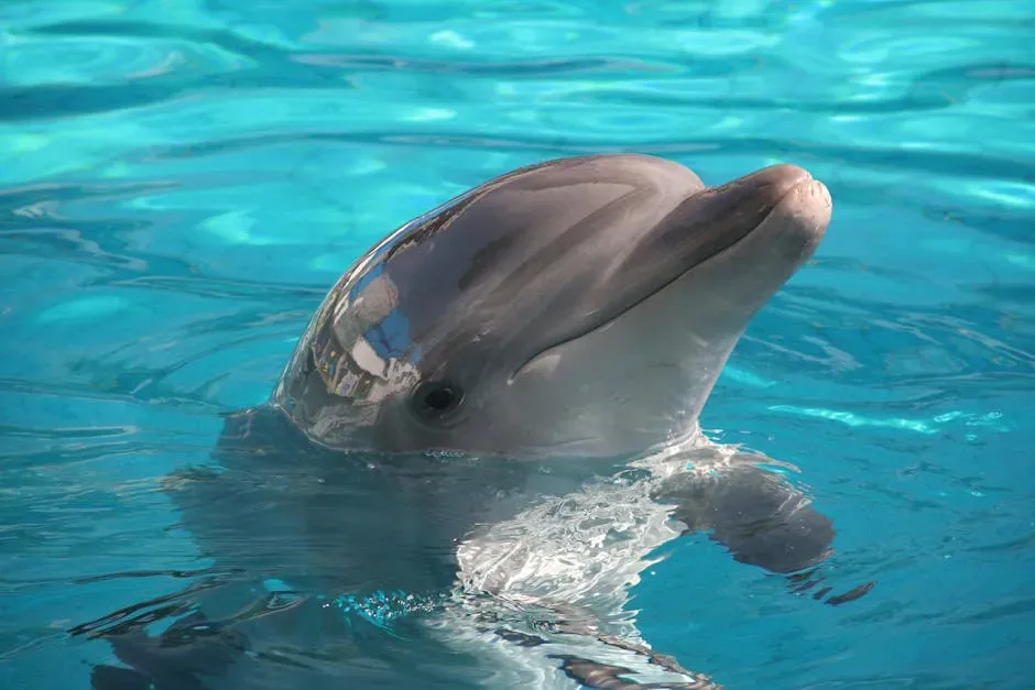2. Bottlenose Dolphins: Nature's Original Ocean Foragers With a Sponge on Their Nose (Image Credits: Pexels)