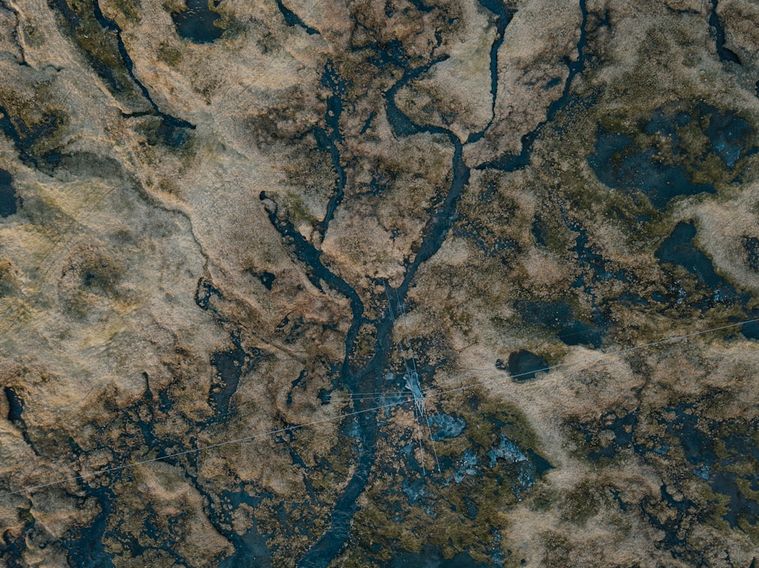 From Ancient Tools to Modern Science (Image Credits: Unsplash)