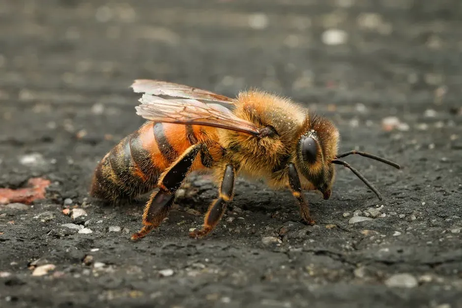 2. The Enigmatic Dance Language of Bees (Image Credits: Pexels)