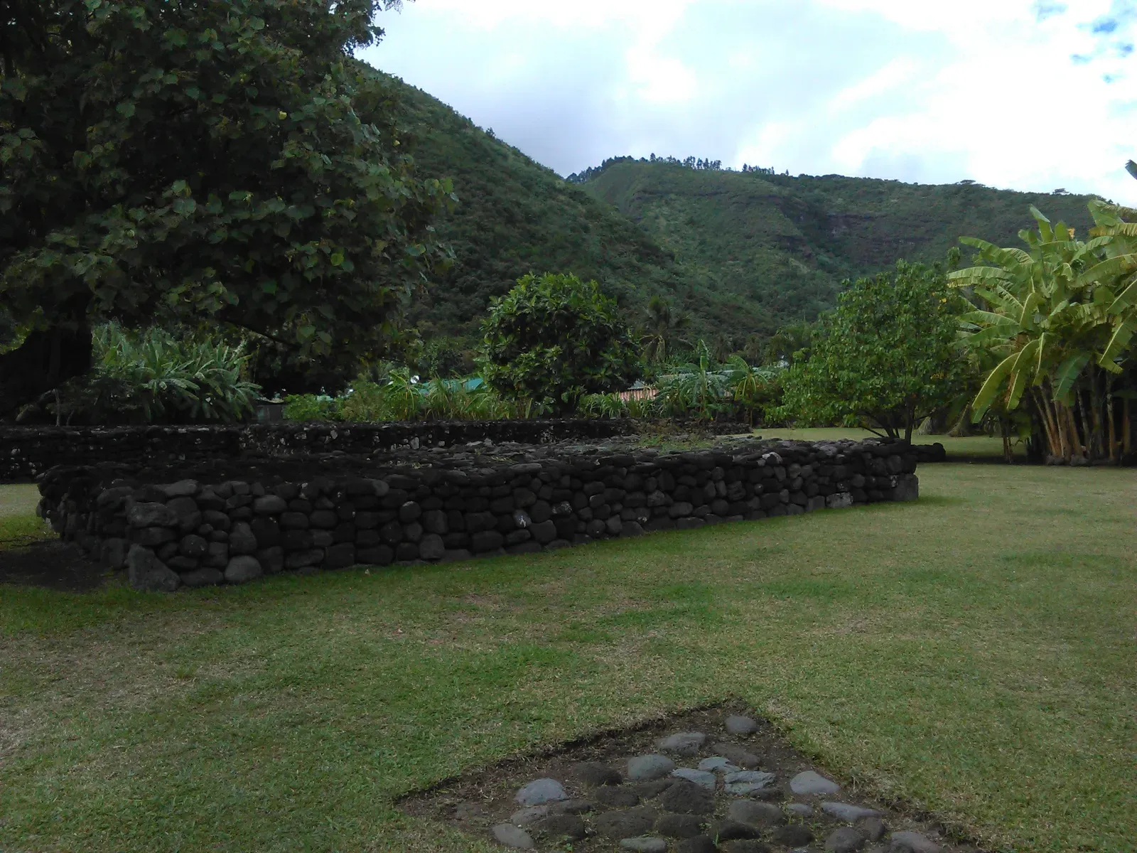 9. The Polynesians: Navigating an Ocean with Stars as Their Compass (By Celia guerrieri, CC BY-SA 4.0)