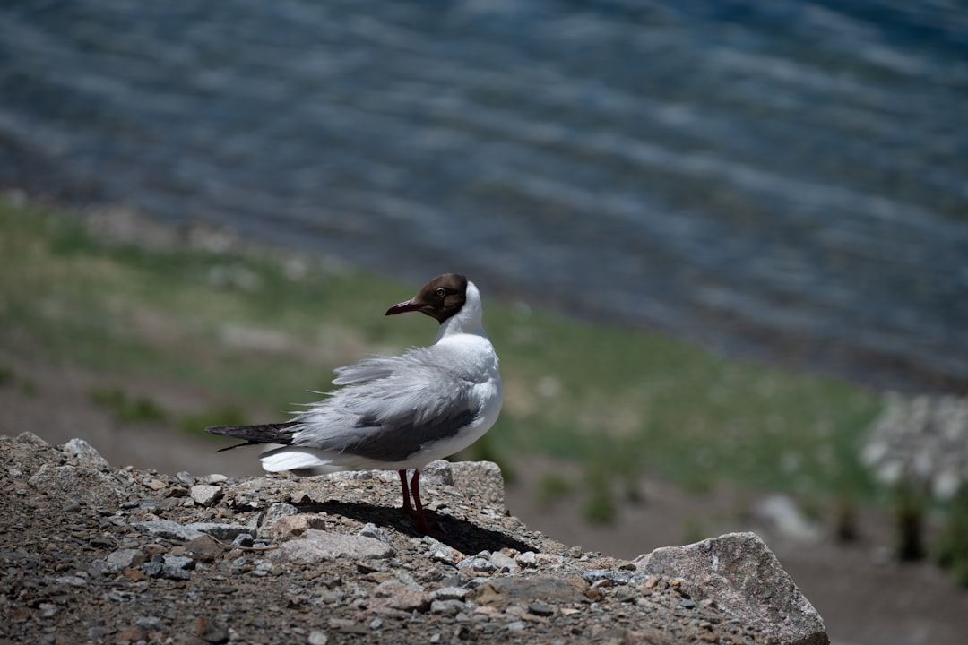 Conclusion (Image Credits: Unsplash)