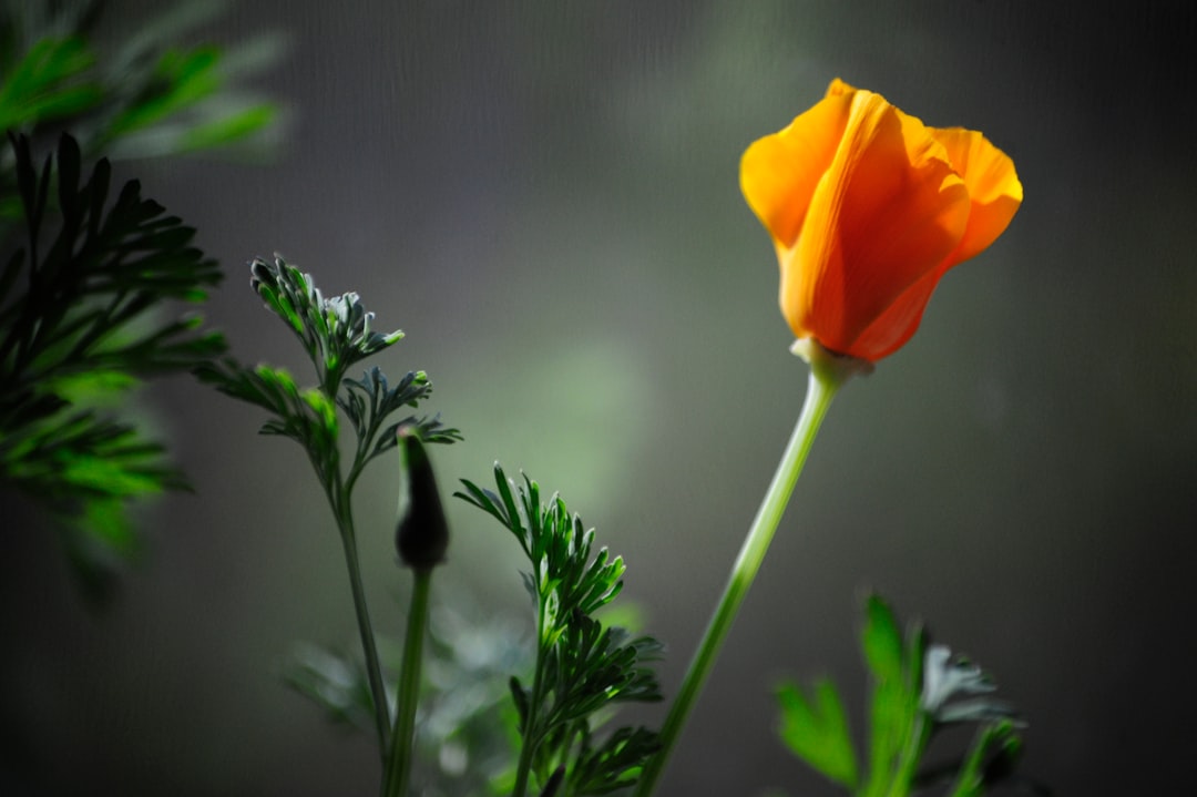 Why It Matters (Image Credits: Unsplash)