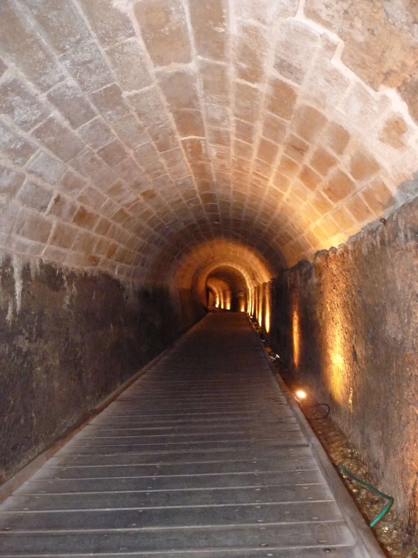 Why It Matters: The Templars as a Test Case for Science vs. Legend (Image Credits: Wikimedia)