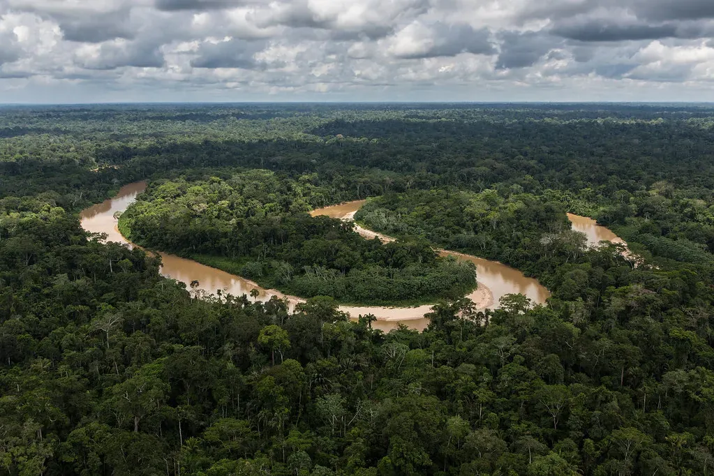Carbon Storage: The Amazon as a Giant Climate Bank (Image Credits: Flickr)
