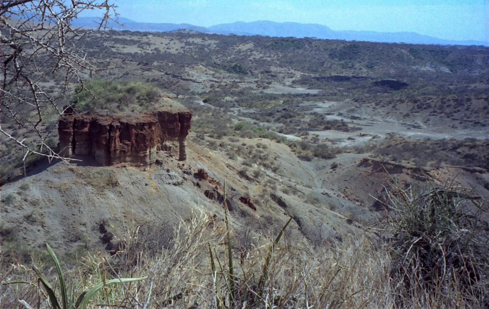 6. Olduvai Gorge and the Deepening of Human Time (originally posted to Flickr as 1993 #161-14 Olduvai Gorge (Leakey), CC BY-SA 2.0)