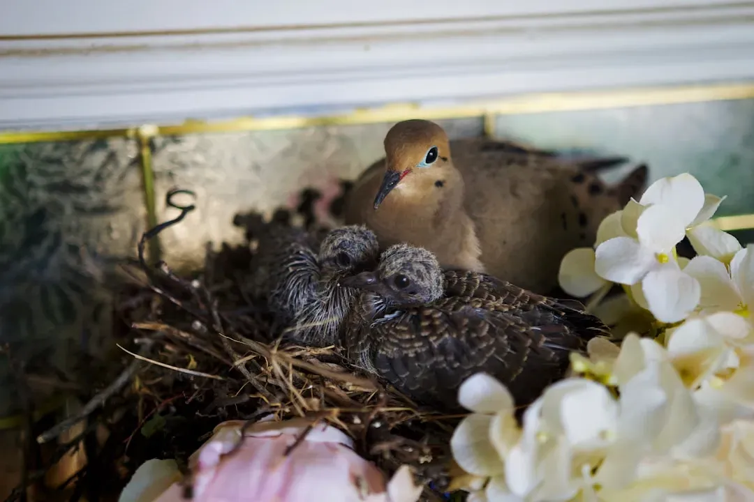 4. They Feed Their Chicks “Milk” From Their Throats (Image Credits: Unsplash)