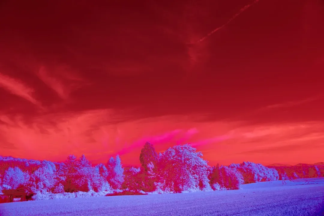 2. Nuclear Winter: When the Sky Went Dark (Image Credits: Unsplash)