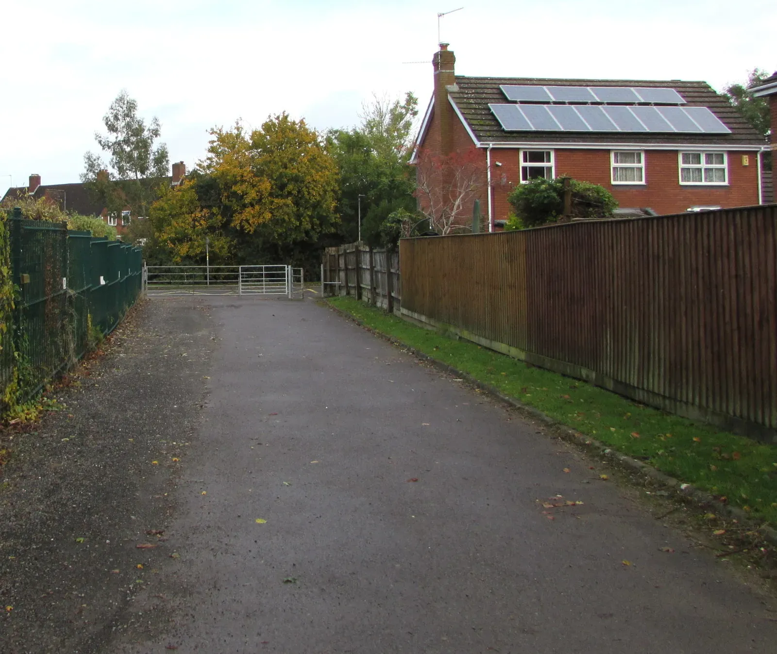 What You Can Do: Turning Sunlight into Action (Image Credits: Wikimedia)