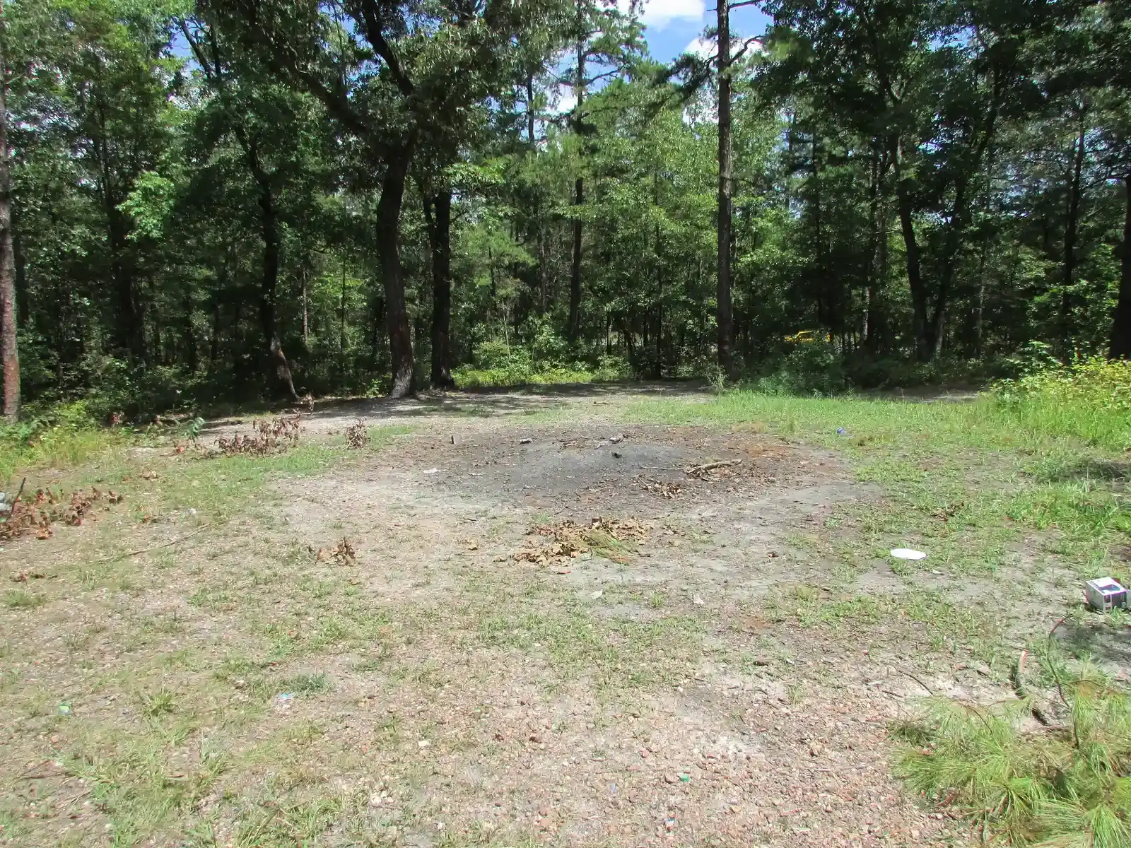 The Devil’s Tramping Ground, North Carolina (Image Credits: Wikimedia)