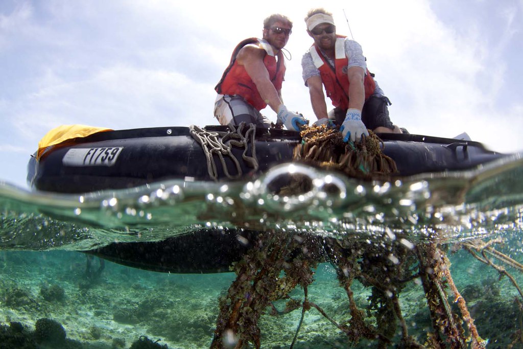 Native Hawaiian Knowledge Guides Modern Restoration Science (Image Credits: Flickr)