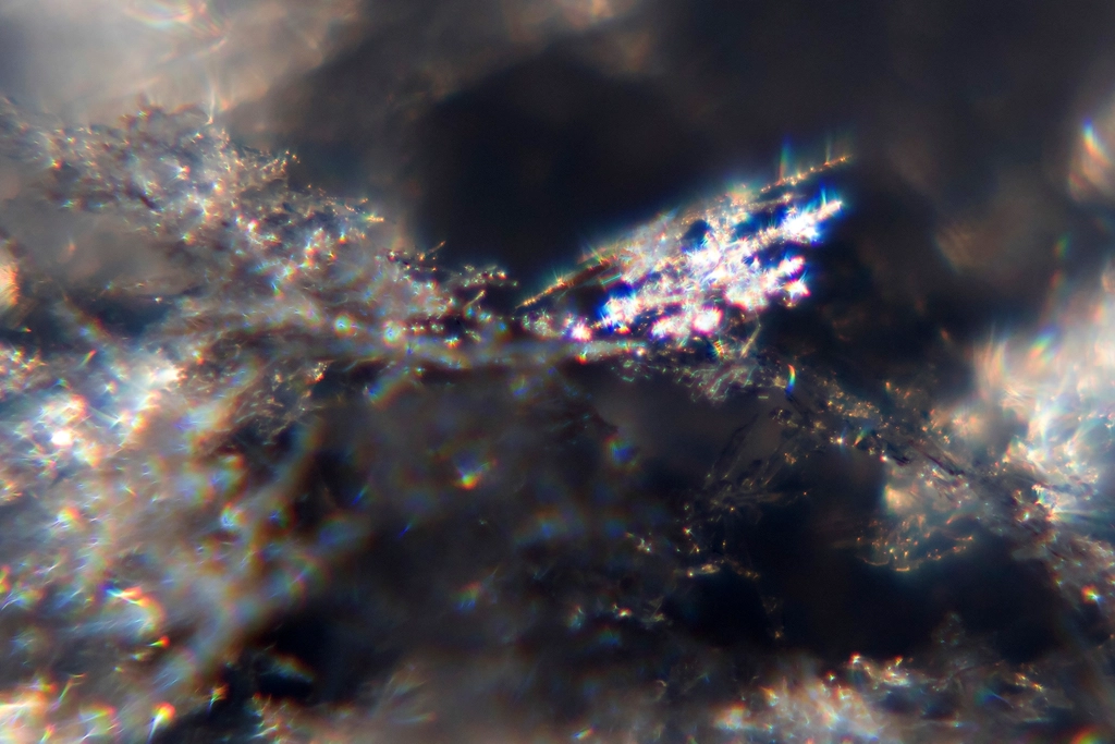 The Hidden Clues (Image Credits: Rawpixel)