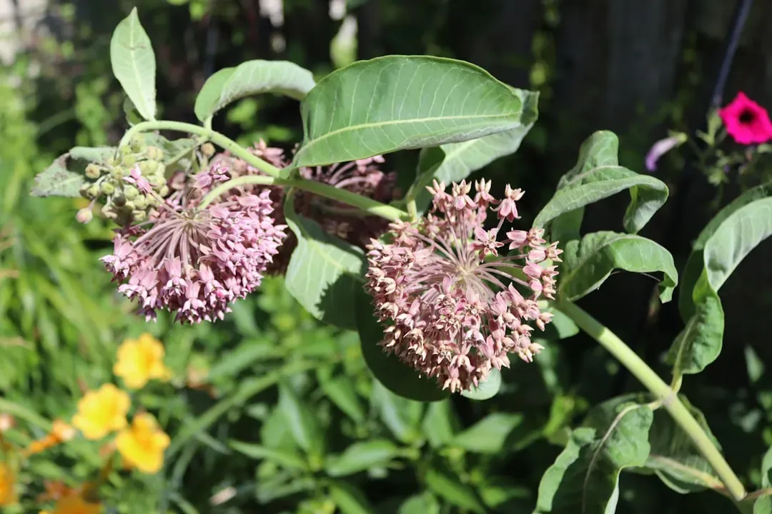 How You Can Help: From Backyard Curiosity to Conservation Action (Image Credits: Unsplash)