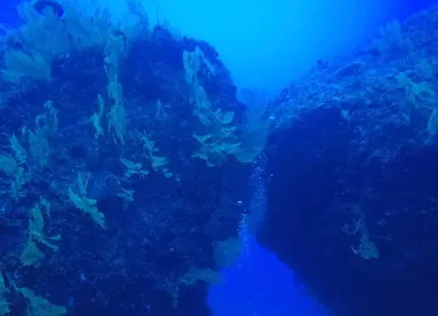 A Hidden Scar at the Edge of the World (Image Credits: Pexels)