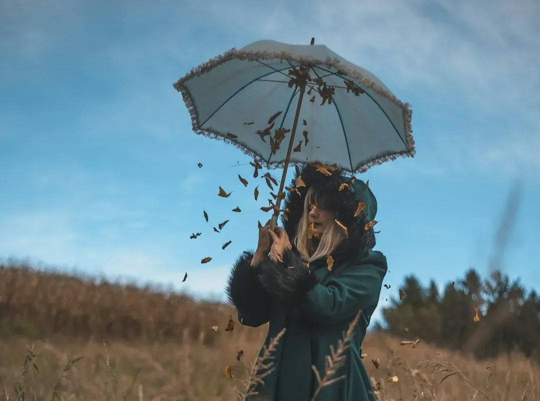 Dreams, Memory, and Creativity (Image Credits: Unsplash)