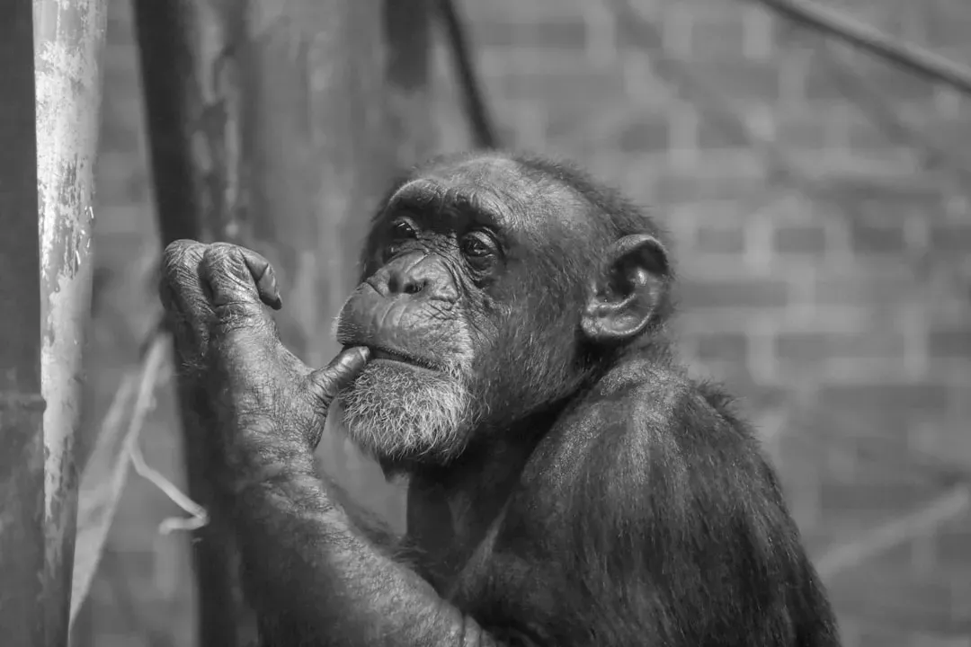 Redefining Intelligence: From Human-Centric Scale to Ecological Fit (Image Credits: Unsplash)