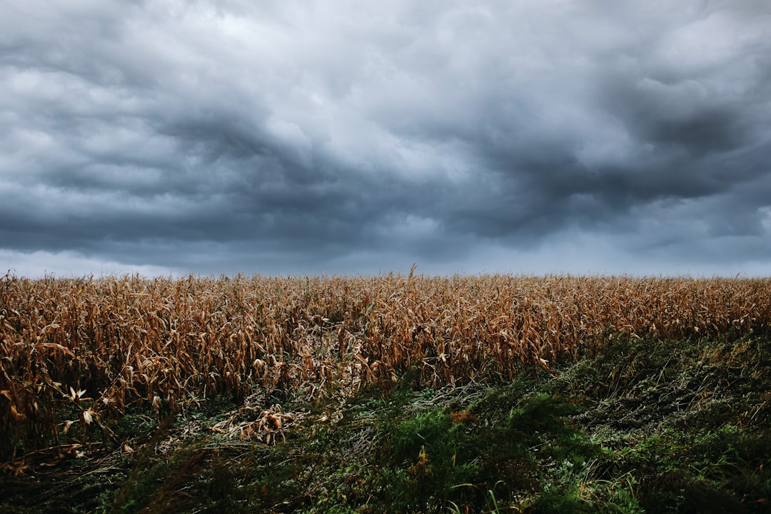 September - The Harvest Storms (Image Credits: Unsplash)