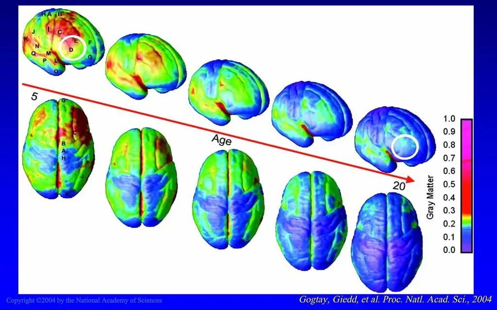 When Machines Started Predicting Your Choices (Image Credits: Flickr)