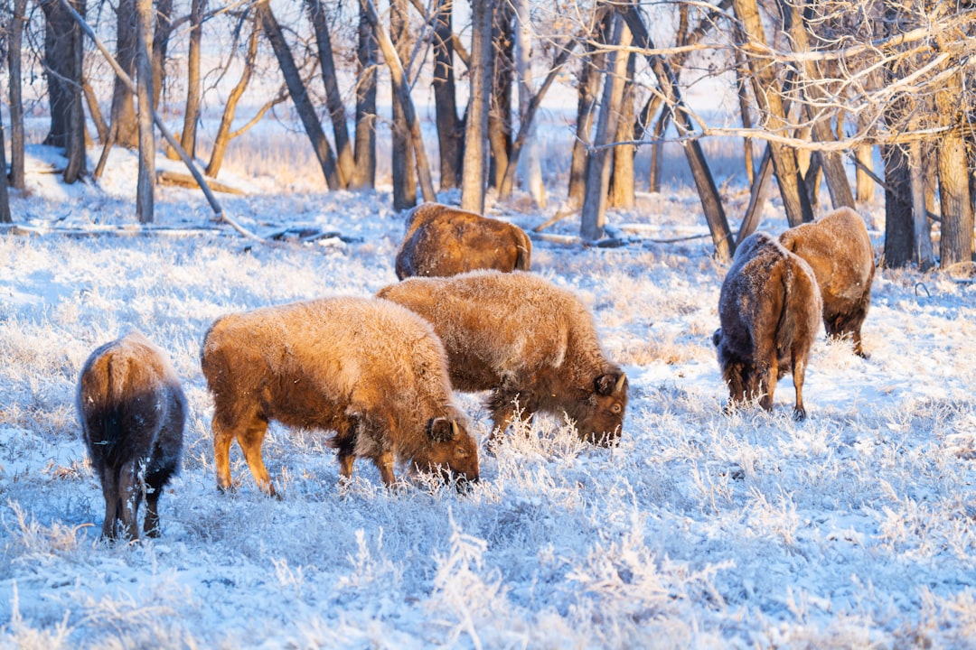 How You Can Help This Winter (Image Credits: Unsplash)