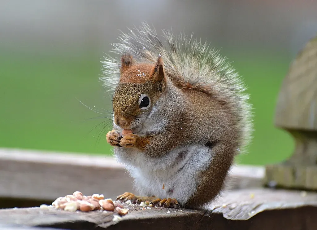 Conclusion: Rethinking What It Means To Be “Smart” (Image Credits: Flickr)