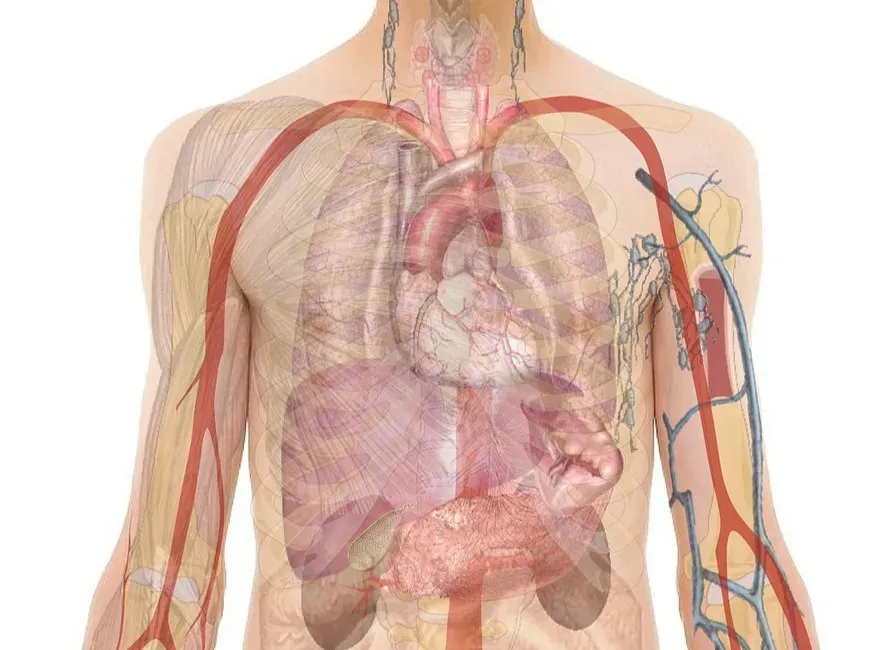 Conclusion: Quiet Miracles Happening All the Time (Image Credits: Pixabay)