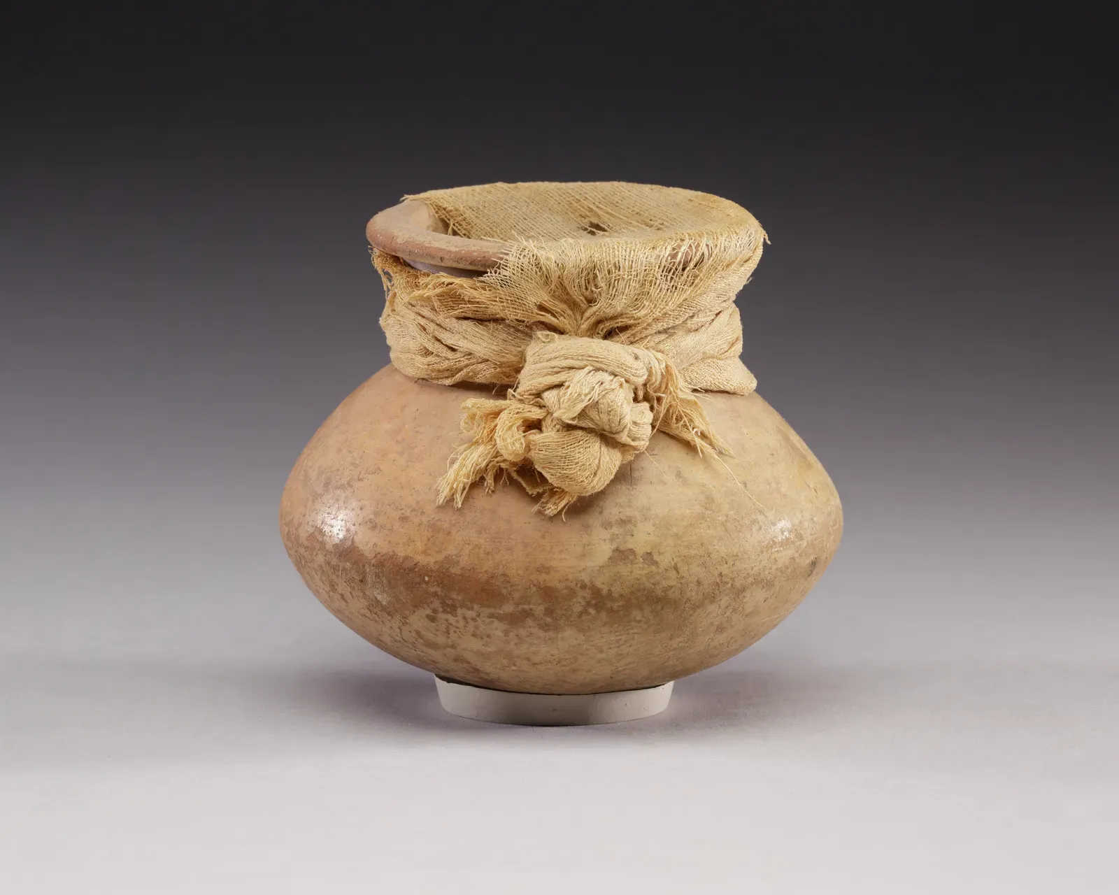 3. Strange Organic Residues in Sealed Jars (This file was donated to Wikimedia Commons as part of a project by the Metropolitan Museum of Art. See the Image and Data Resources Open Access Policy, CC0)