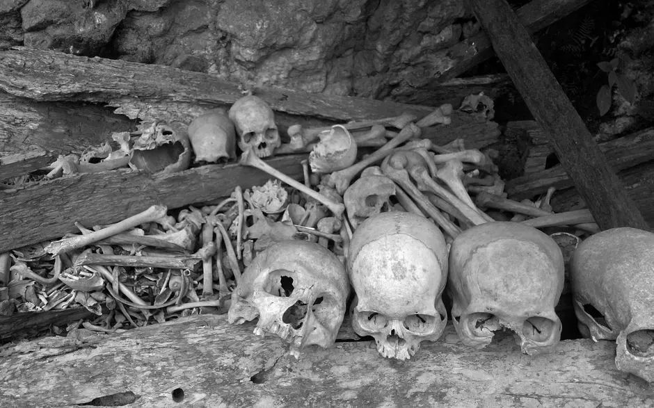 #8 - The Cave Chamber With Bones No One Wants to Classify (Image Credits: Pexels)